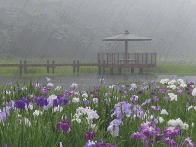 雨降り加工 リンドウの徒然日記 雨降り加工 リンドウの徒然日記