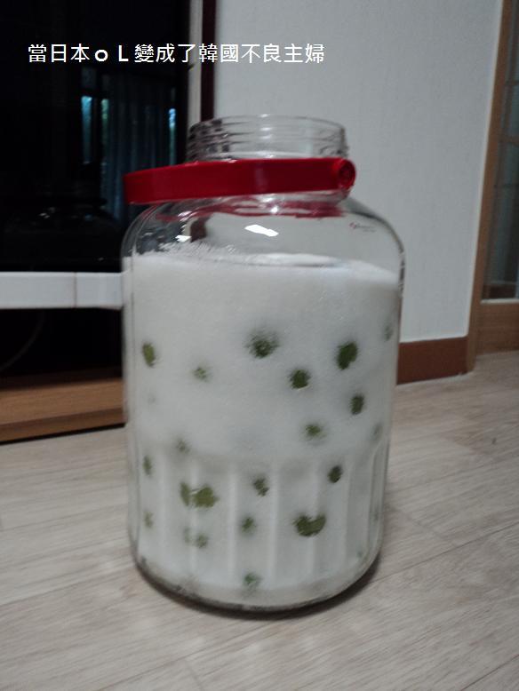☆料理食譜★基本梅酒/梅糖漿、梅子果醬做法_c0348993_15473835.jpg