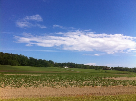 d0320595_51376.jpg