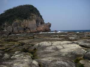 ☆★☆かえる島☆★☆ _d0135908_9395180.jpg