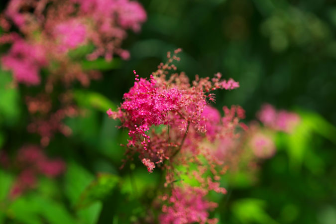 a0263109_18235510.jpg
