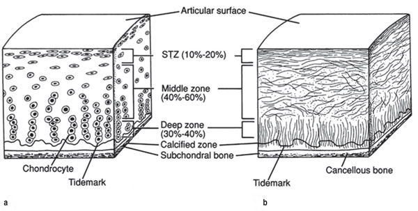 b0112009_20275847.png
