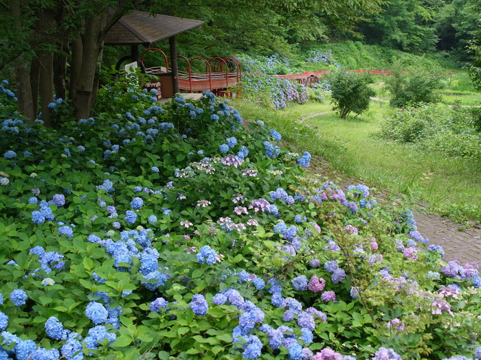 横瀬町_e0276411_22543695.jpg