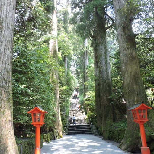 箱根神社にお参りに行きました_e0034013_20502383.jpg