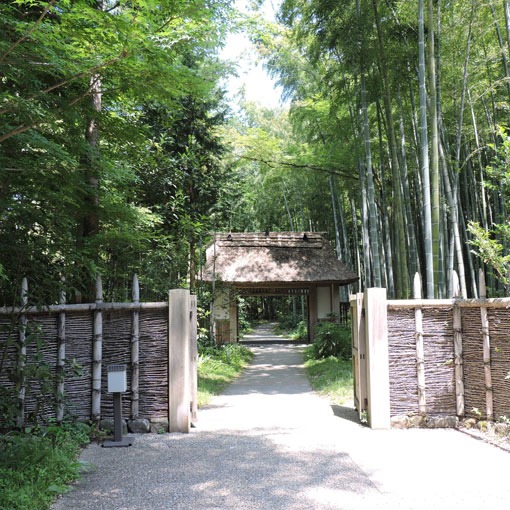 箱根神社にお参りに行きました_e0034013_21171839.jpg