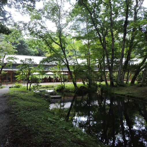 箱根神社にお参りに行きました_e0034013_21174598.jpg