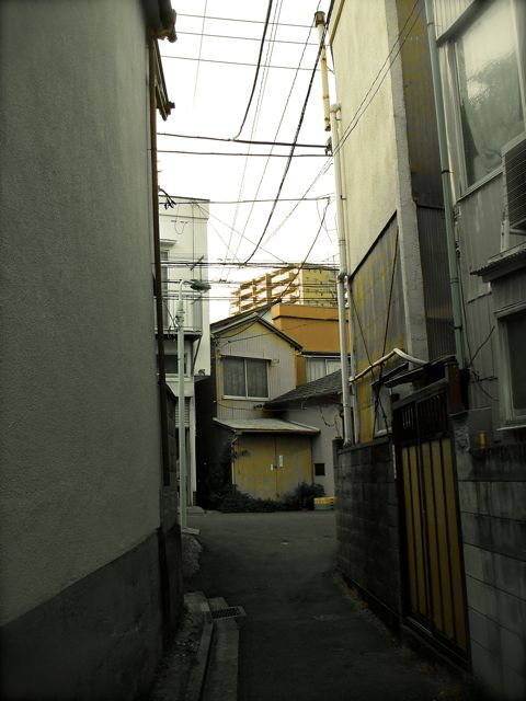 a0136725_901520.jpg