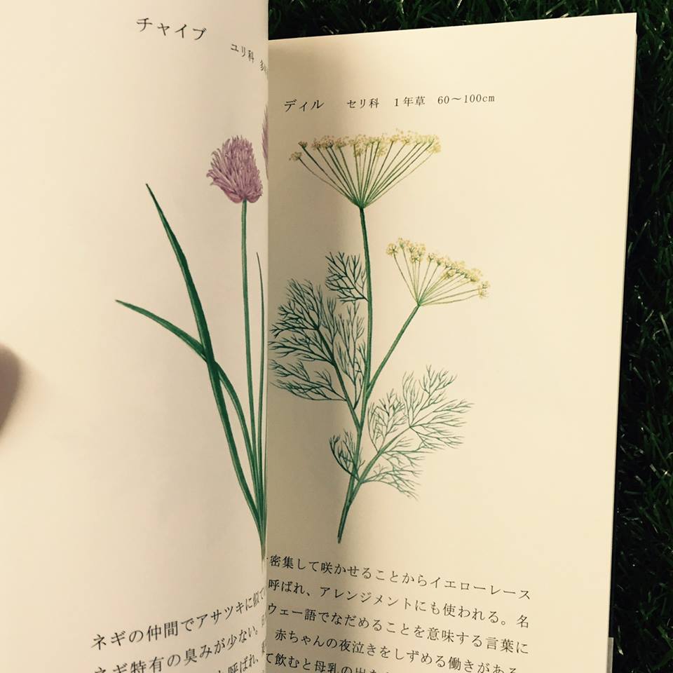 服部あさ美『HERB CATALOG　（ハーブカタログ）』_b0035326_12325640.jpg