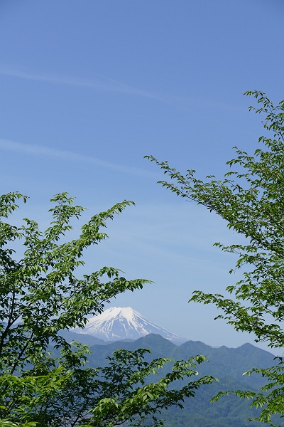 山梨県八重山に登る　その３_c0196928_14463863.jpg