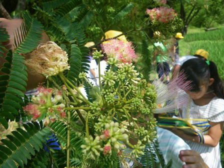 a0123836_15531235.jpg