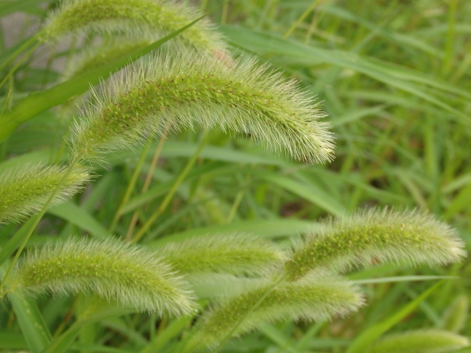 a0054240_2173010.jpg