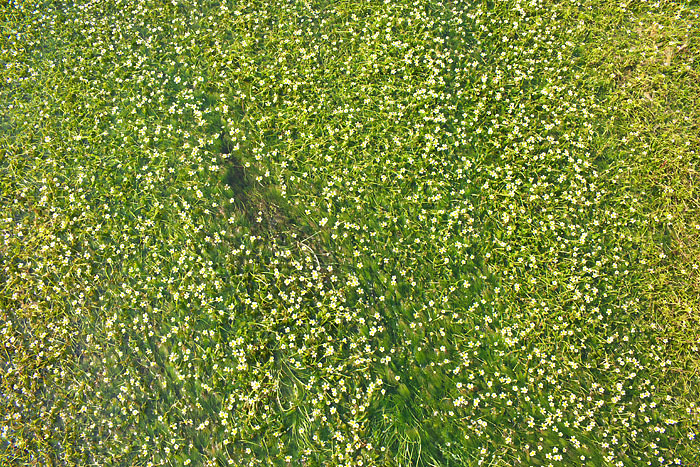 c0067040_22315776.jpg