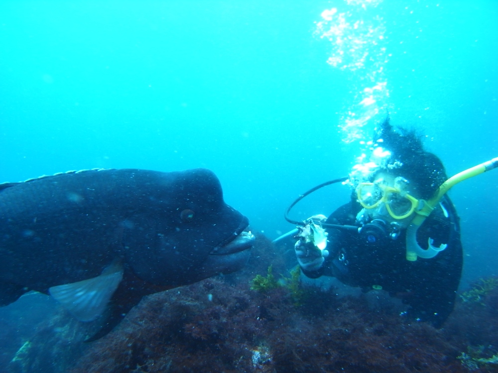 d0058549_17373313.jpg