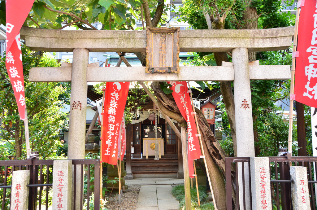 鬼平ゆかりの地を歩く ２ ～ 坪井道場、組屋敷、戒行寺周辺_b0338976_1051641.jpg