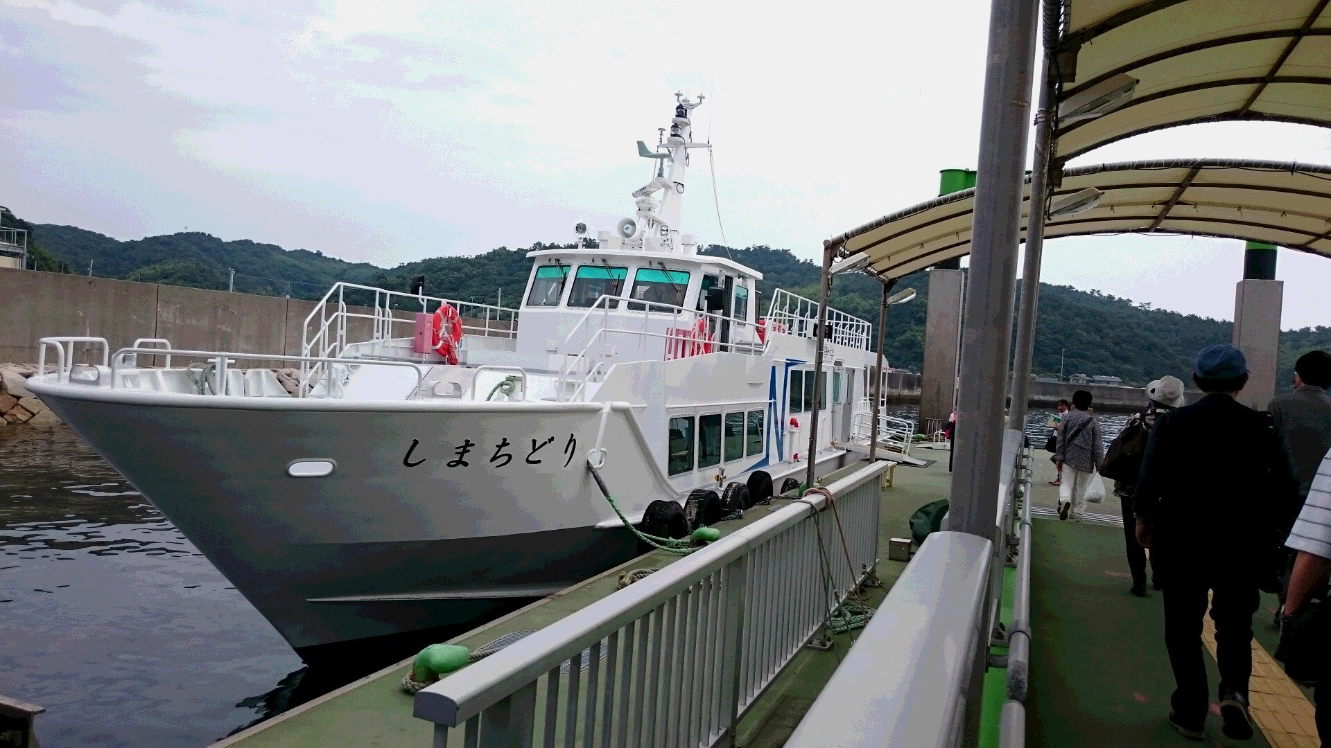 Hamo dish of Nushima island 淡路島・沼島のハモ料理　その①_b0245877_22412664.jpg