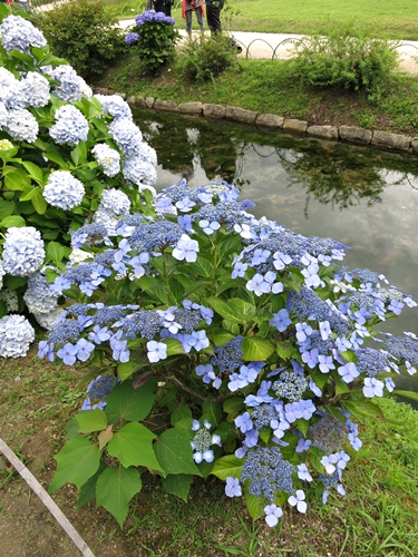f0299682_16371126.jpg