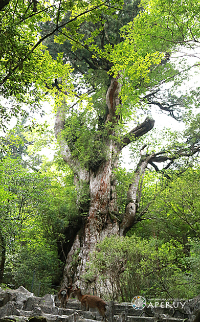 f0252883_21123031.jpg