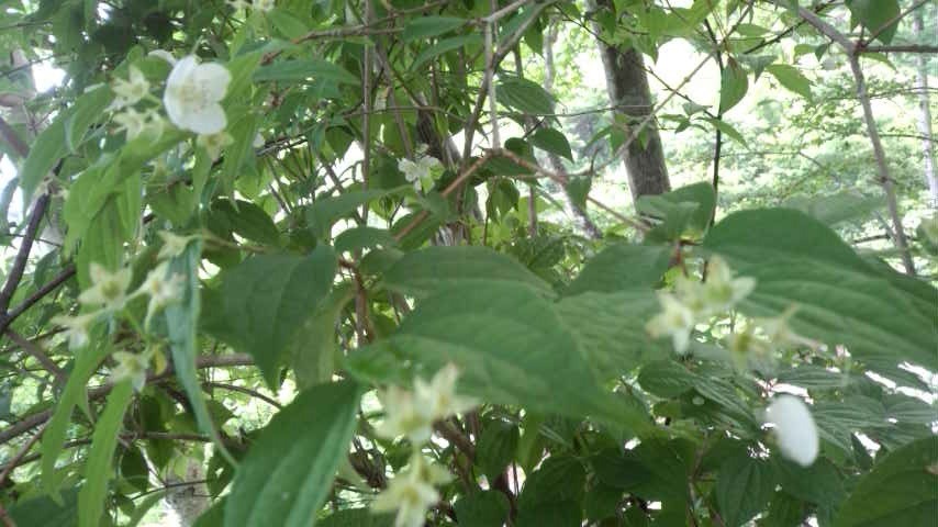 a0130586_8454610.jpg