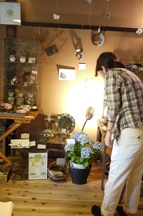 3日+1日=「あじさい展」ハクトヤ+Blue Bird_f0226293_2156105.jpg