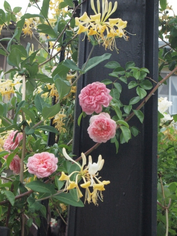 甘いもの三昧の１日になりました♪_b0331802_00010761.jpg