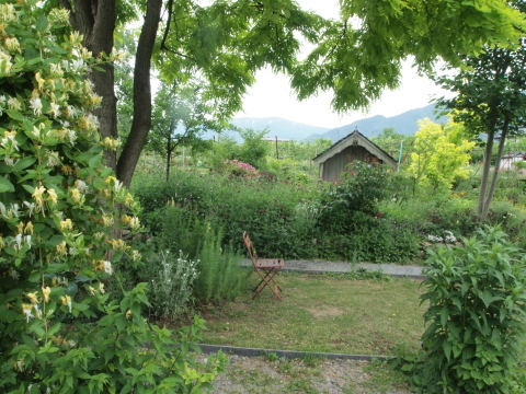 甘いもの三昧の１日になりました♪_b0331802_00030933.jpg