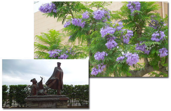 熱海のジャカランダの花_c0051105_2123828.jpg