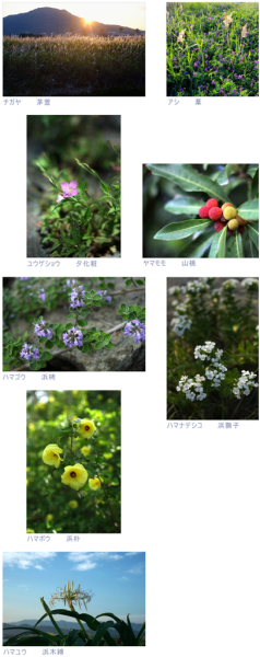 c0367107_10075437.png