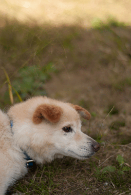 f0251613_0512113.gif