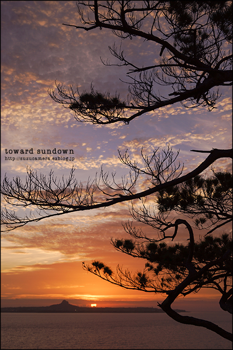 Sunset Time_f0100215_2029269.jpg