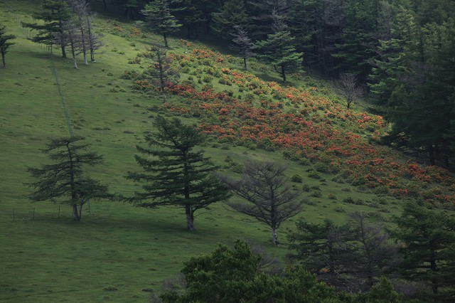 e0242721_724590.jpg