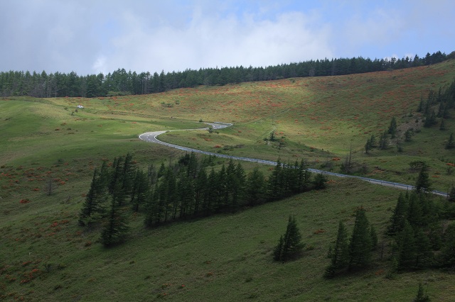 e0242721_792577.jpg