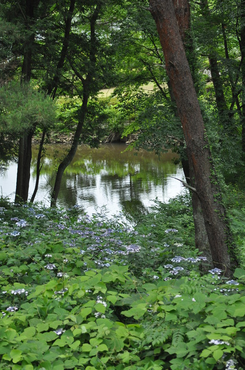 a0248728_1648508.jpg