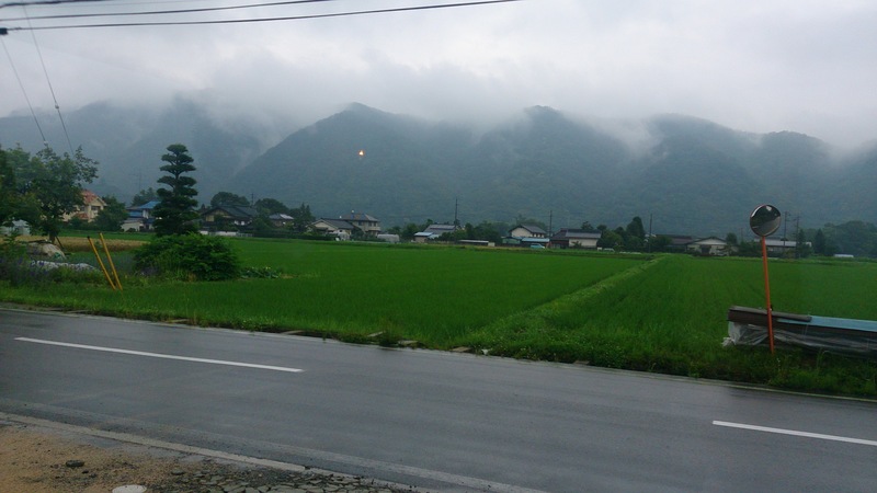b0228428_17644.jpg