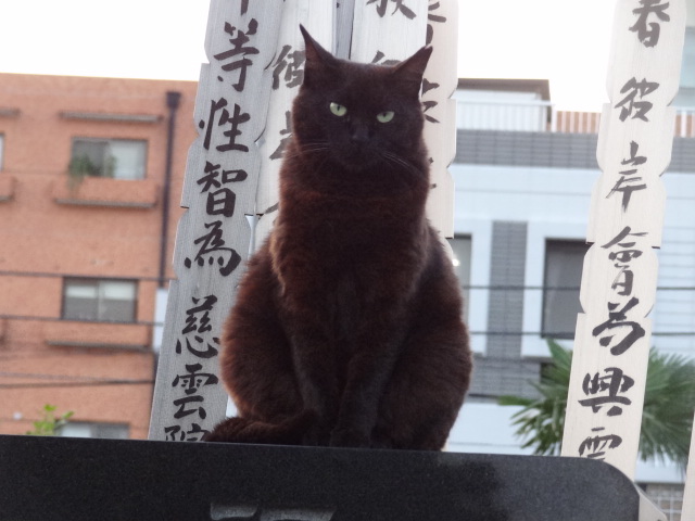 赤坂の裏通りで餃子を食いつつ旧交を温める 「赤坂 みんみん」_e0016828_11071257.jpg