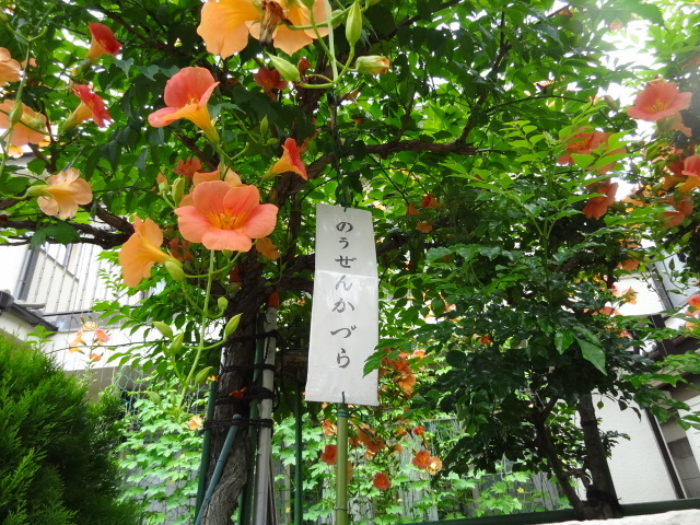 赤坂の裏通りで餃子を食いつつ旧交を温める 「赤坂 みんみん」_e0016828_11080342.jpg