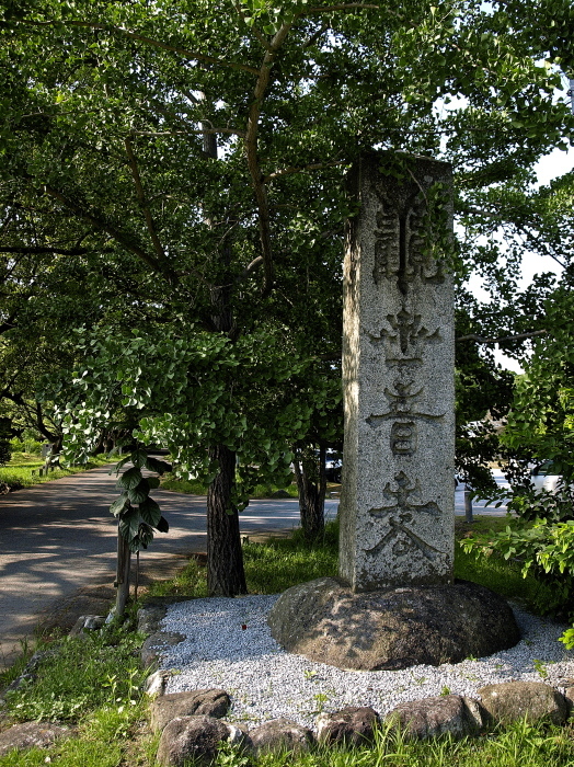 太宰府散歩 つづき 観世音寺〜大宰府政庁跡_f0315034_12171688.jpg