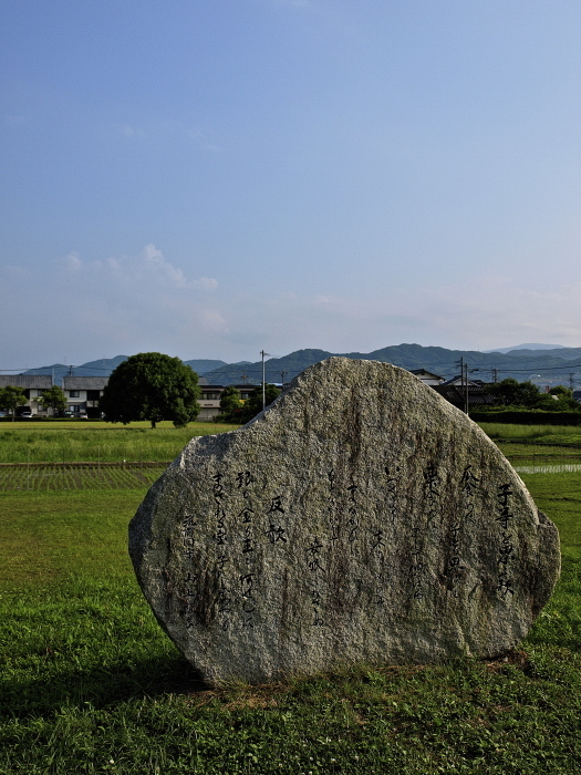 太宰府散歩 つづき 観世音寺〜大宰府政庁跡_f0315034_12190505.jpg