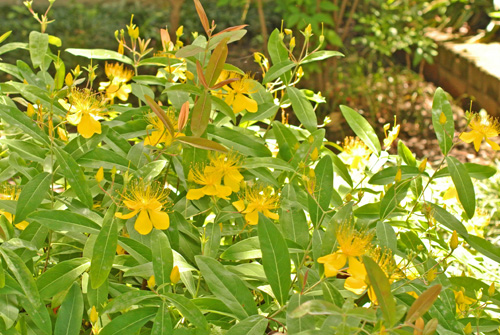 f0206939_11373493.jpg