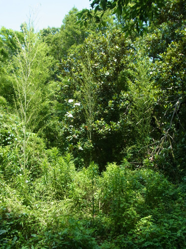 f0206939_14381036.jpg