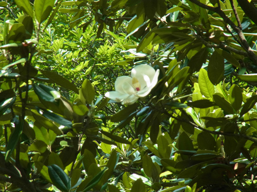 f0206939_14384613.jpg