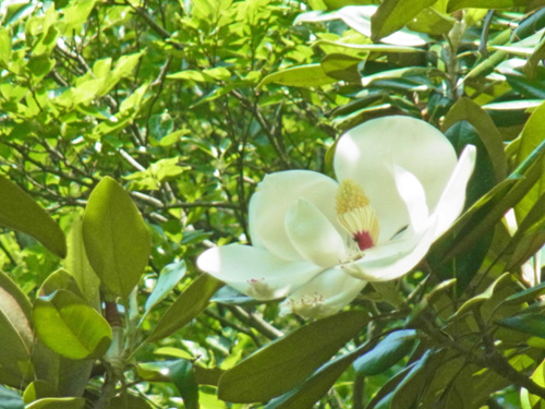 f0206939_14385923.jpg