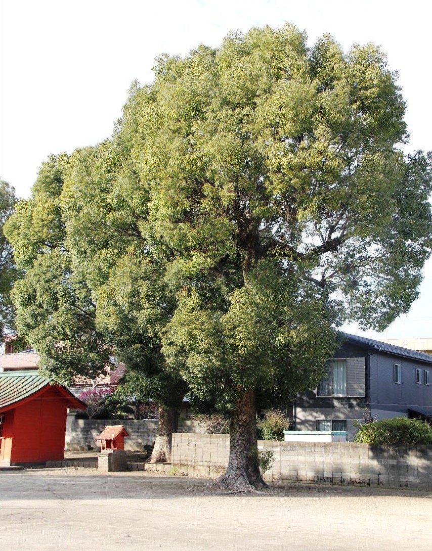 【五穀神社】　東芝の創業者・田中久重翁 ゆかりの神社_c0011649_14162133.jpg