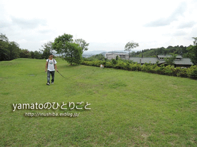 a0286855_6283356.gif