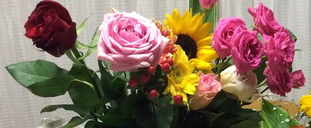 a0053063_18165487.jpg