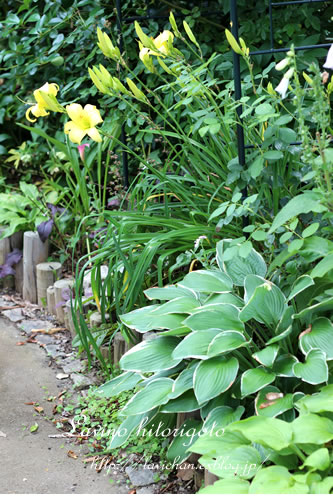 c0139168_1855948.jpg