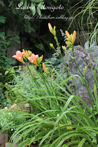 c0139168_1873988.jpg