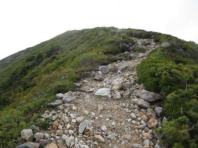 別山　　チブリ尾根_f0302771_8575420.jpg