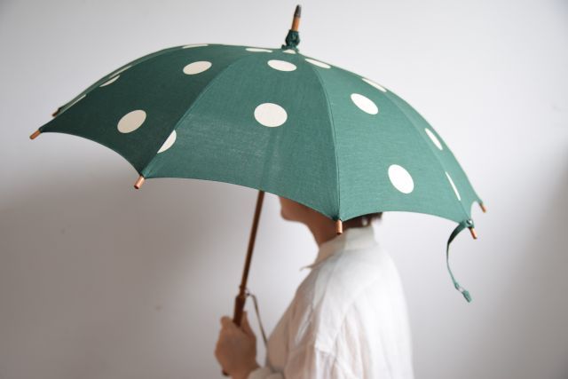 傘は傘でも・・・　umbrella reef_b0110582_18222935.jpg