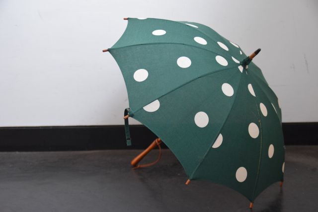 傘は傘でも・・・　umbrella reef_b0110582_18225516.jpg