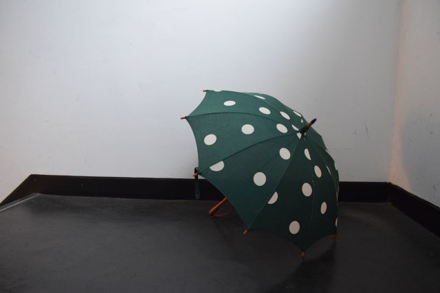 傘は傘でも・・・　umbrella reef_b0110582_18231392.jpg